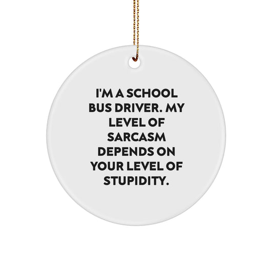 For Him Keepsake Sarcastic School Bus Driver Christmas Ornament Gift - Image 1