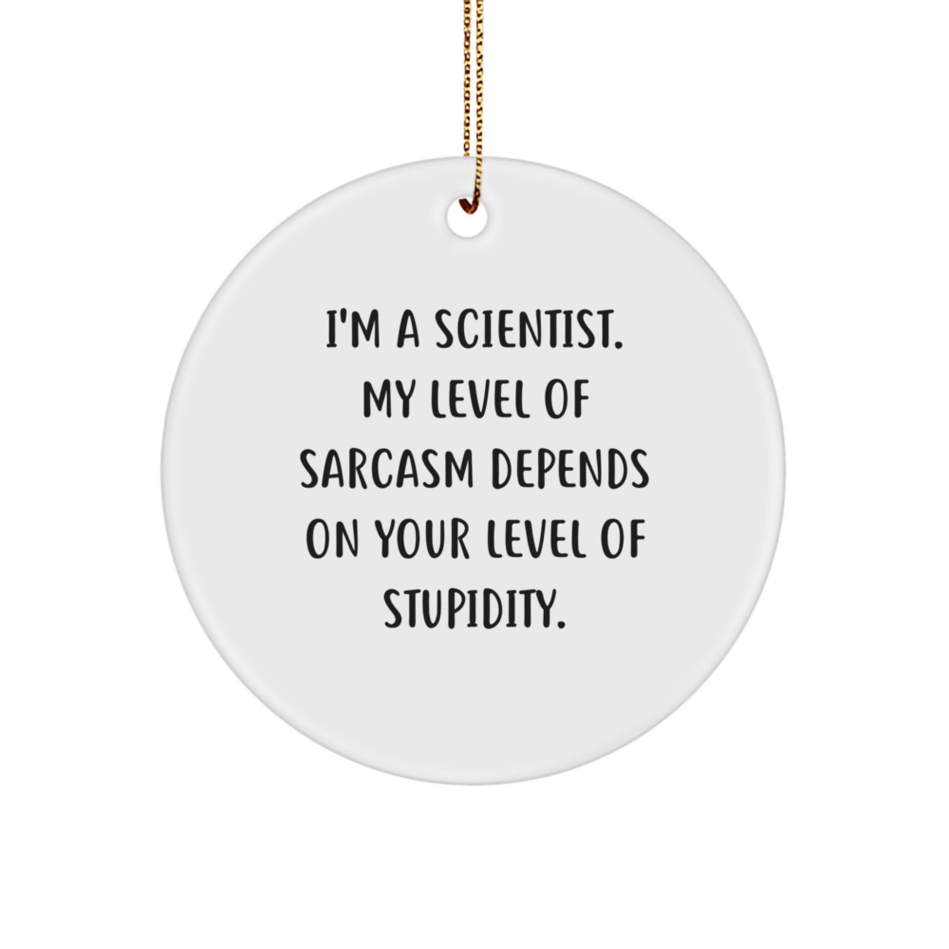 Funny Scientist Gifts from Friends - Christmas Unique Circle Ornament for Scientist, Men, Women - I'm a Scientist Sarcasm Humor - Image 1