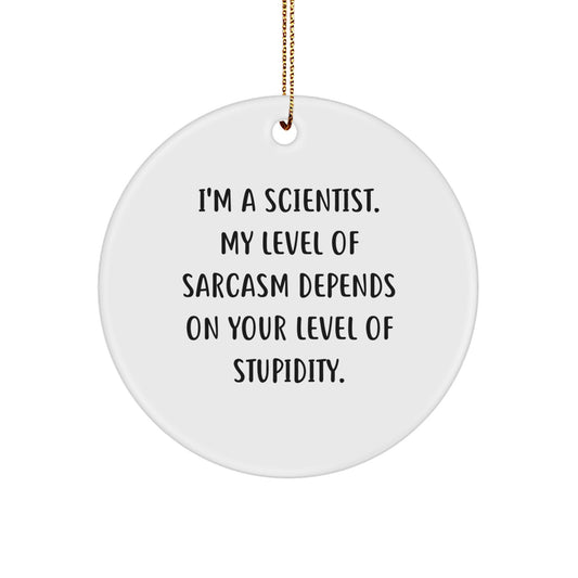 Funny Scientist Gifts from Friends - Christmas Unique Circle Ornament for Scientist, Men, Women - I'm a Scientist Sarcasm Humor - Image 1