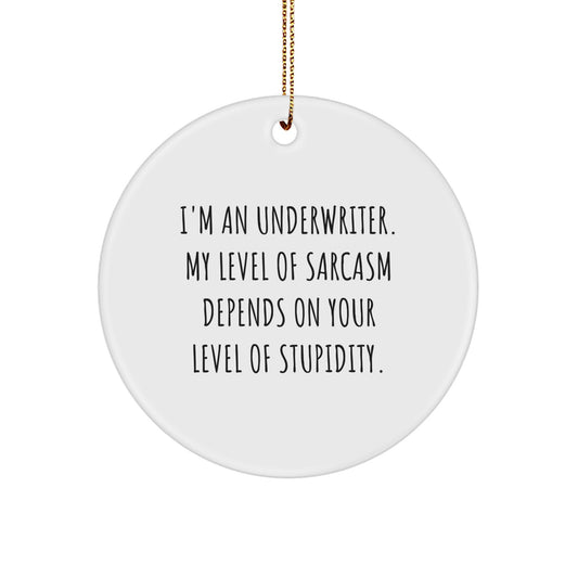 Funny Underwriter Gifts from Friends - Circle Ornament for Underwriter, Sarcasm Humor for Christmas Unique Gifts - Image 1