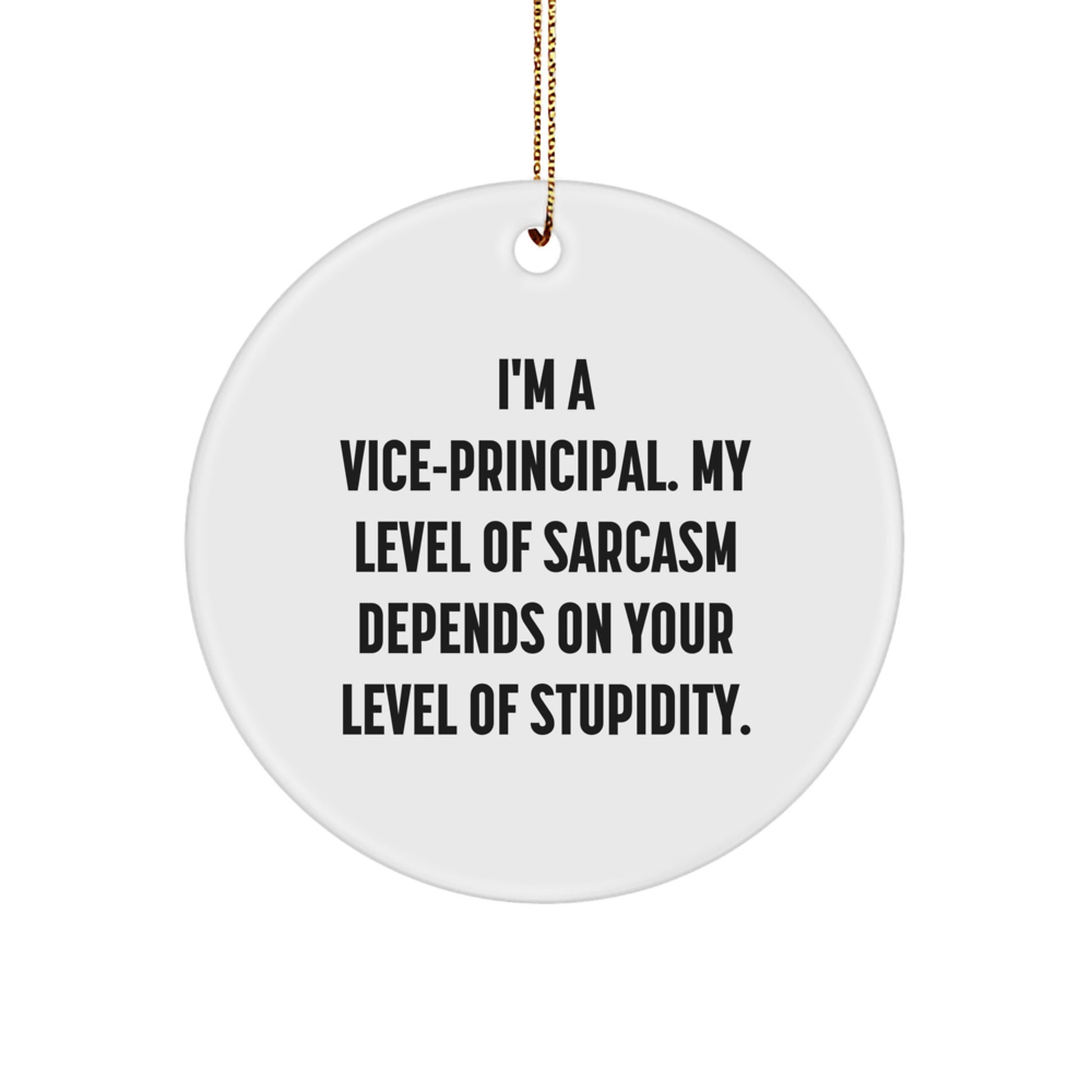 Funny Vice-principal Christmas Circle Ornament Gifts from Friends to Vice-principal, Vice-principal Gifts for Men, Funny Quote Circle Ornament - Image 1