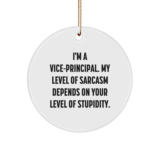 Funny Vice-principal Christmas Circle Ornament Gifts from Friends to Vice-principal, Vice-principal Gifts for Men, Funny Quote Circle Ornament - Image 1