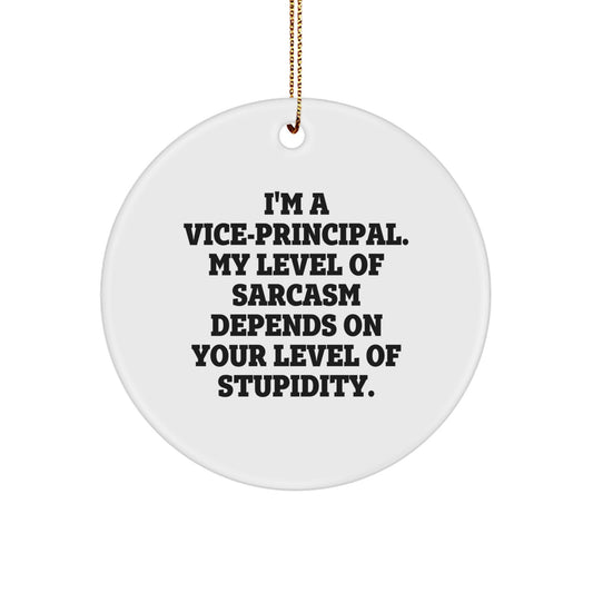Funny Vice-Principal Gifts from Friends - Vice-Principal Circle Ornament - Christmas Unique Decorations for Schools - I'm A Vice-Principal Gifts for Men, Women, Coworkers - Image 1
