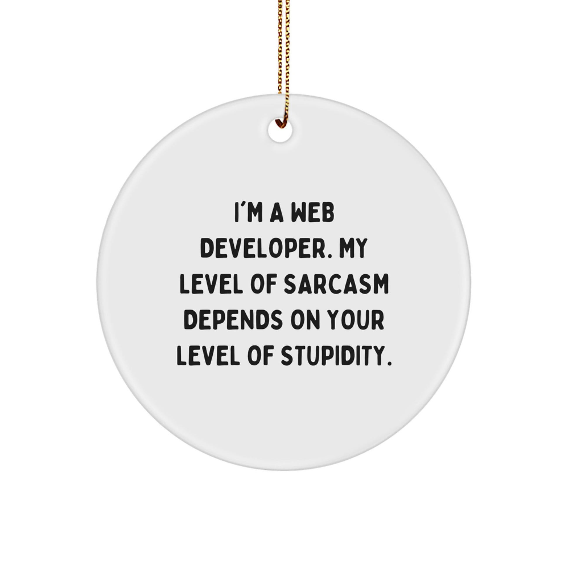 Funny Gifts from Friends for Web Developer, Circle Ornament with Humor, Web Developer Christmas Unique Gifts, I'm A Web Developer My Level Of Sarcasm Depends On Your Level Of Stupidity - Image 1
