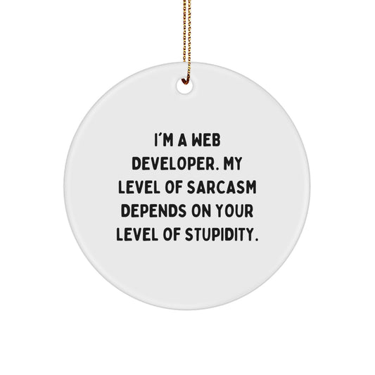 Funny Gifts from Friends for Web Developer, Circle Ornament with Humor, Web Developer Christmas Unique Gifts, I'm A Web Developer My Level Of Sarcasm Depends On Your Level Of Stupidity - Image 1