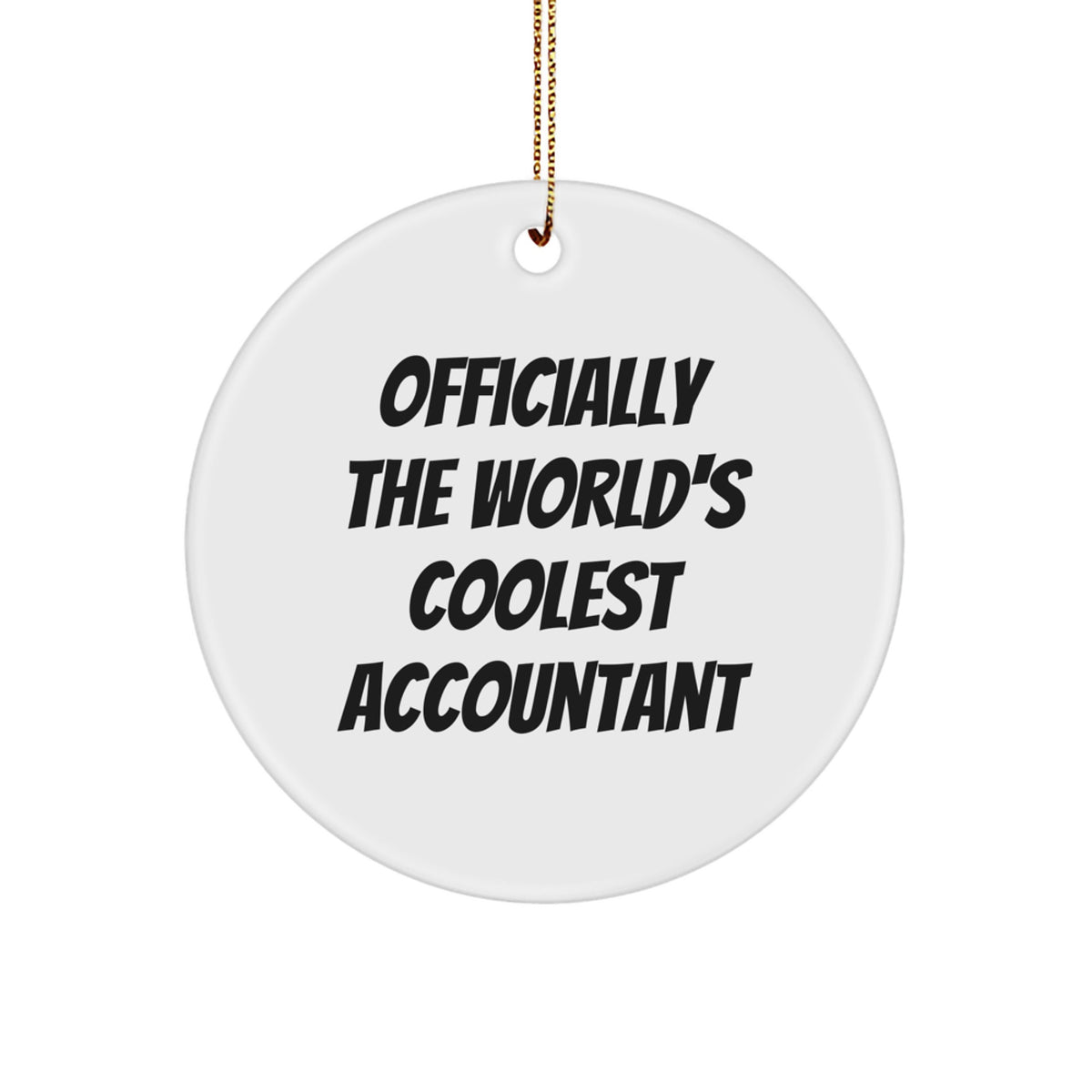 Officially The World's Coolest Accountant Gifts for Men, Funny Christmas Unique Gifts from Friends for Accountant - Image 1