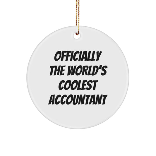 Officially The World's Coolest Accountant Gifts for Men, Funny Christmas Unique Gifts from Friends for Accountant - Image 1