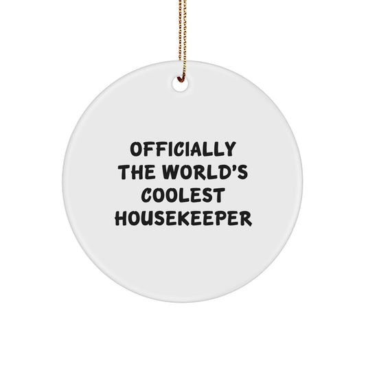 Christmas Unique Gift Cool Housekeeper Ornament for Her Present Bright - Image 1