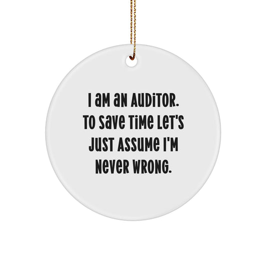Skeptical Auditor Circle Ornament Christmas Unique Gift for Friends Novelty - Image 1
