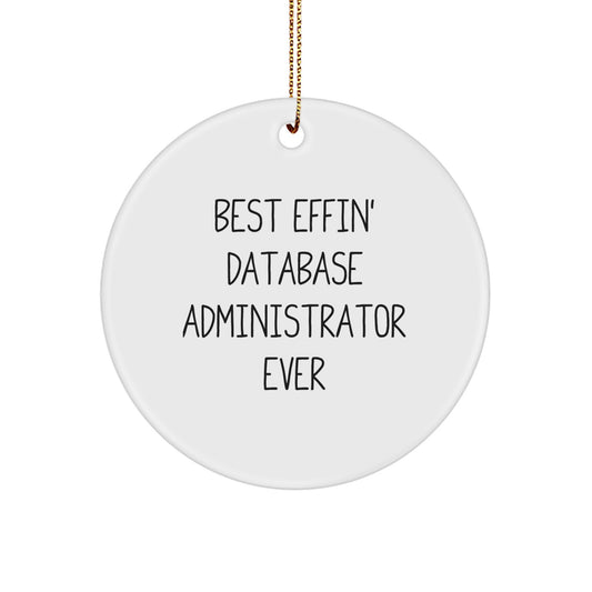 Funny Database Administrator Gifts, Best Effin' Quote Circle Ornament for Men, Unique Christmas Memorable Presents for Friends, Family, Coworkers - Image 1