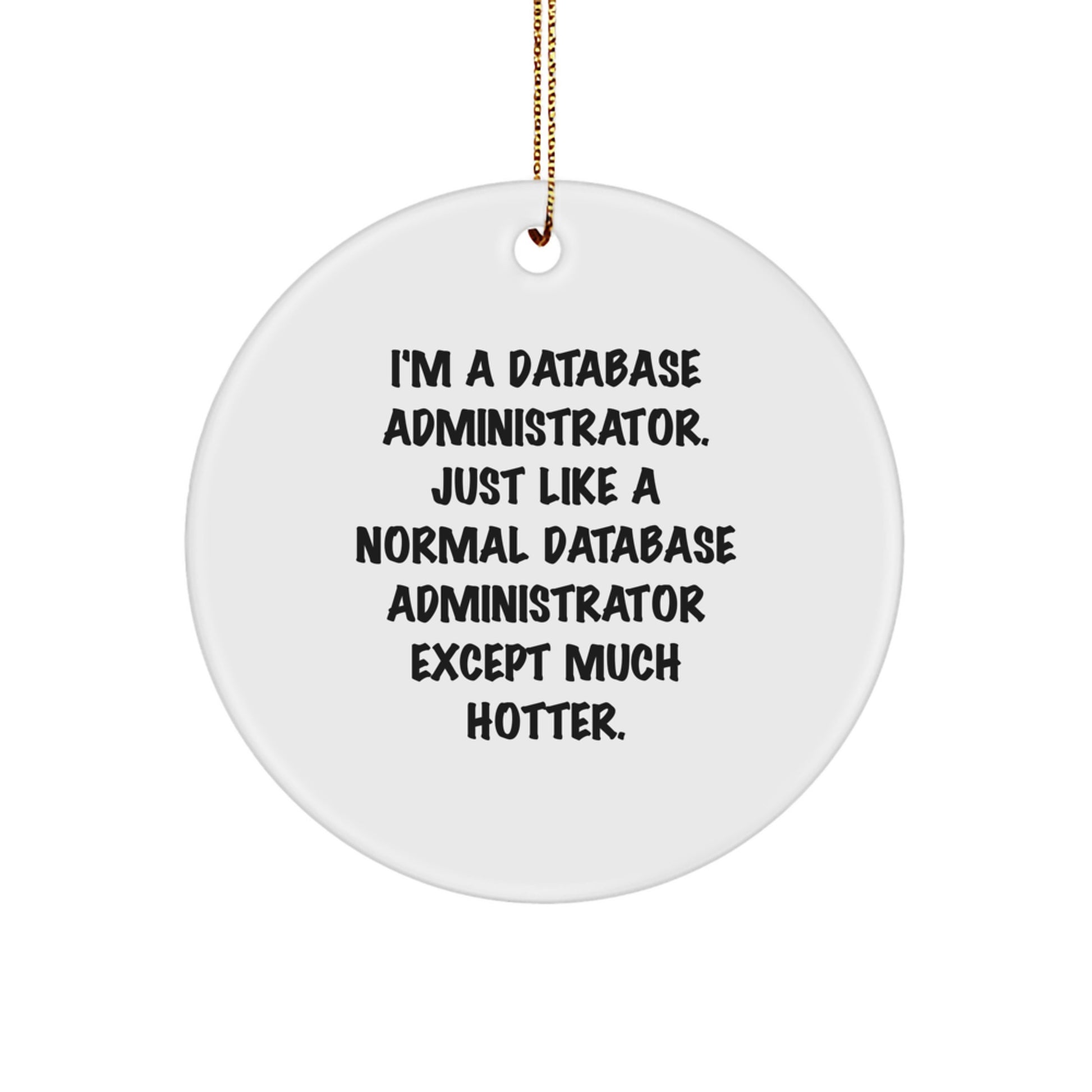 Funny Database Administrator Circle Ornament, Gifts from Friends for Men, Unique Christmas Unique Gifts for Database Administrator - Image 1