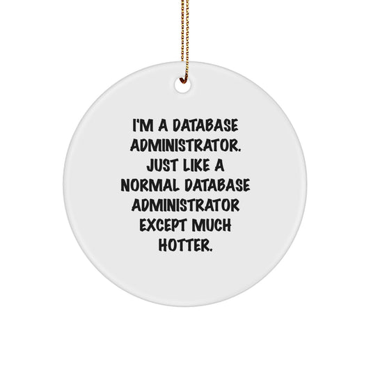 Funny Database Administrator Circle Ornament, Gifts from Friends for Men, Unique Christmas Unique Gifts for Database Administrator - Image 1