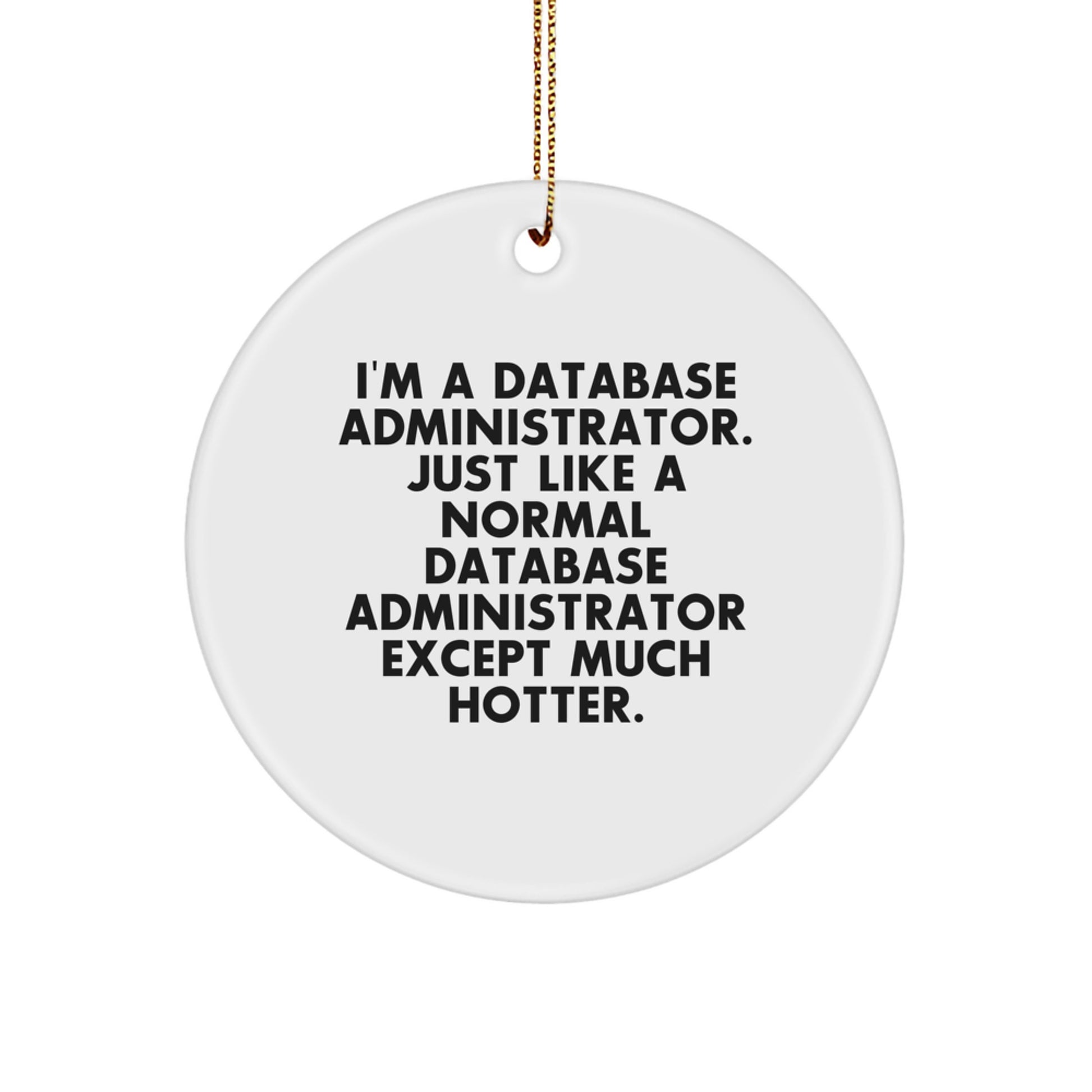 Gifts from Friends to Database Administrator, I'm A Database Administrator. Just Like A Normal Database Administrator Except Much Hotter., Unique Database Administrator Christmas Ornaments - Image 1