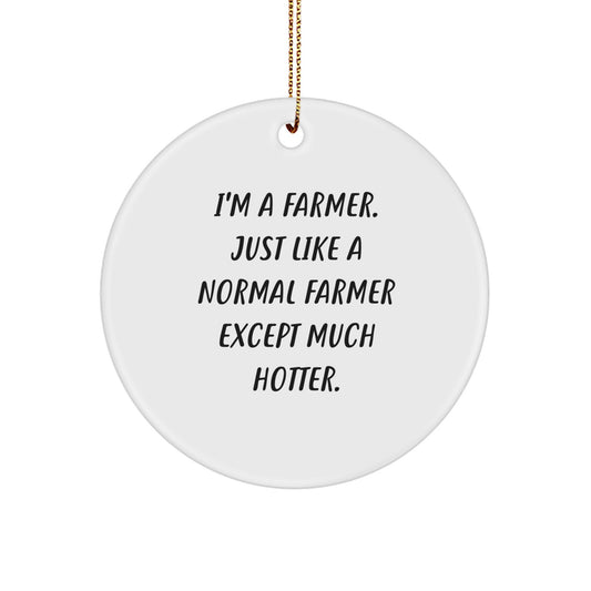 Farmer Keepsake Christmas Ornament for Him Surprise Gift - Image 1