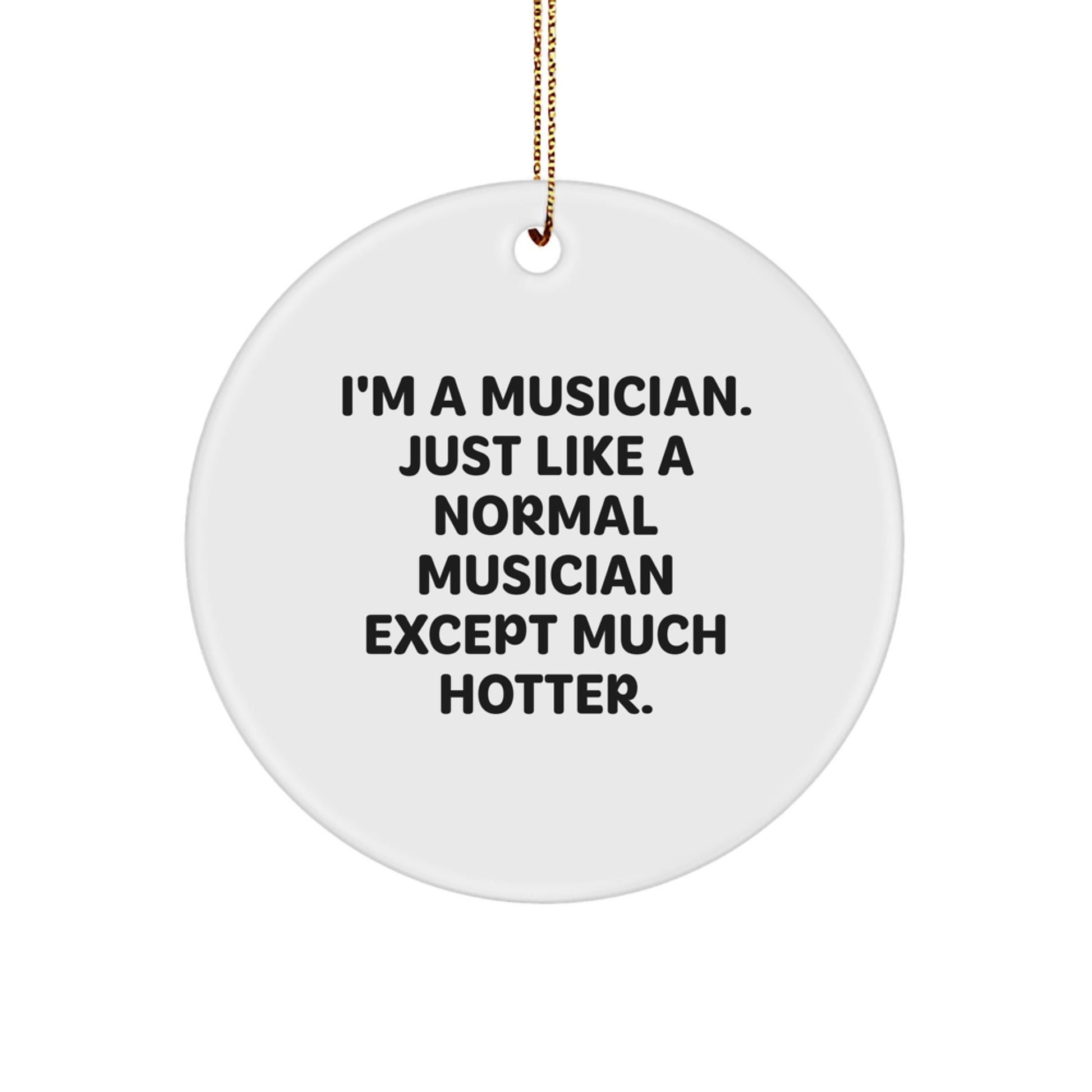 Funny Musician Gifts from Friends for Christmas Unique Circle Ornaments - I'm A Musician. Just Like A Normal Musician Except Much Hotter. - Image 1