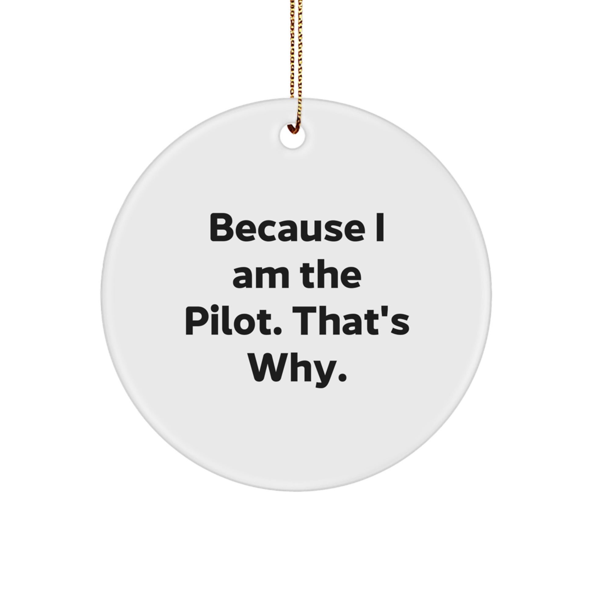 Because I Am The Pilot Funny Christmas Unique Gifts for Pilot Friends from Men - Image 1