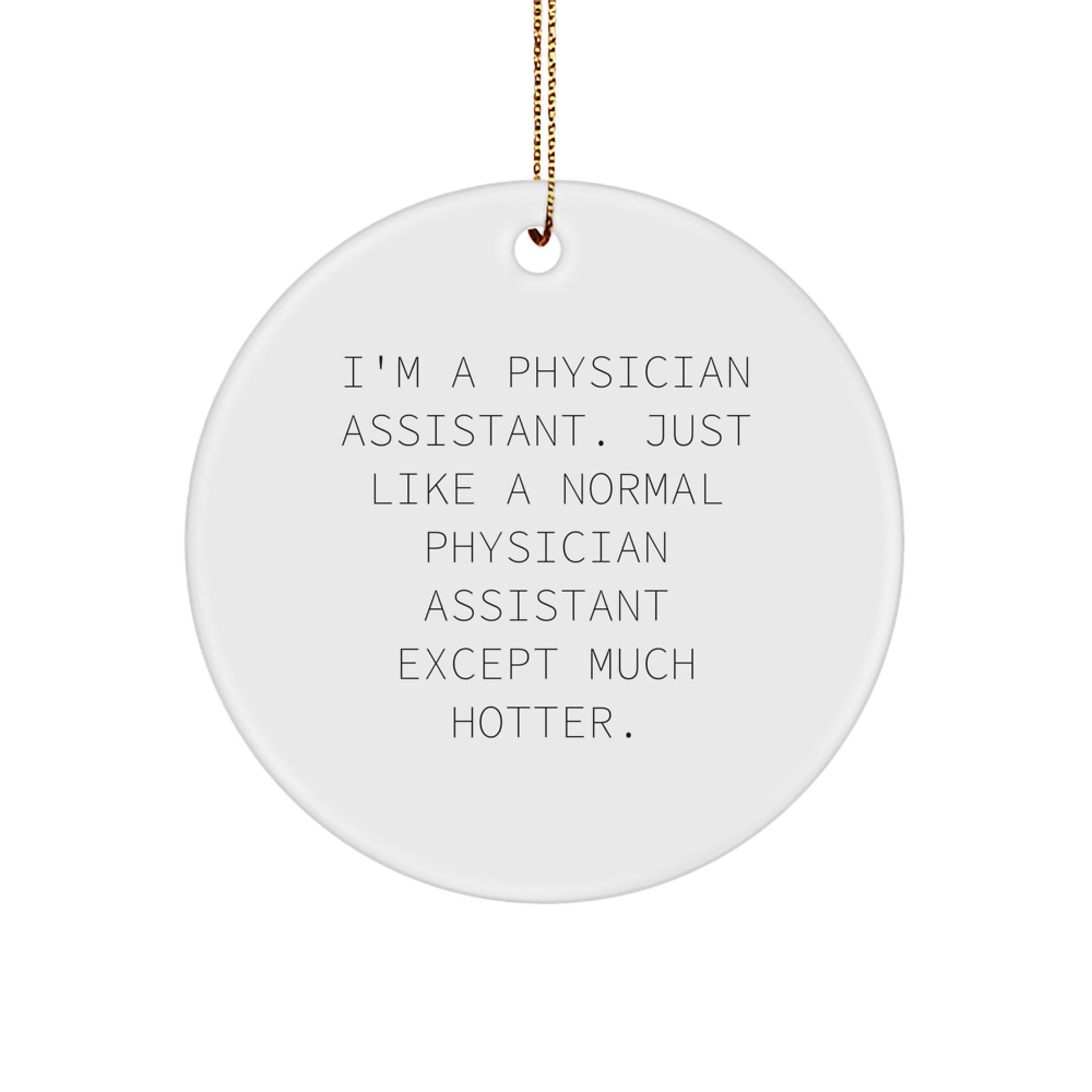 Funny Physician Assistant Gifts, Unique Circle Ornament for Men, Gifts from Friends, Gifts for Physician Assistant - I'm A Normal P.A. Except Much Hotter. - Image 1