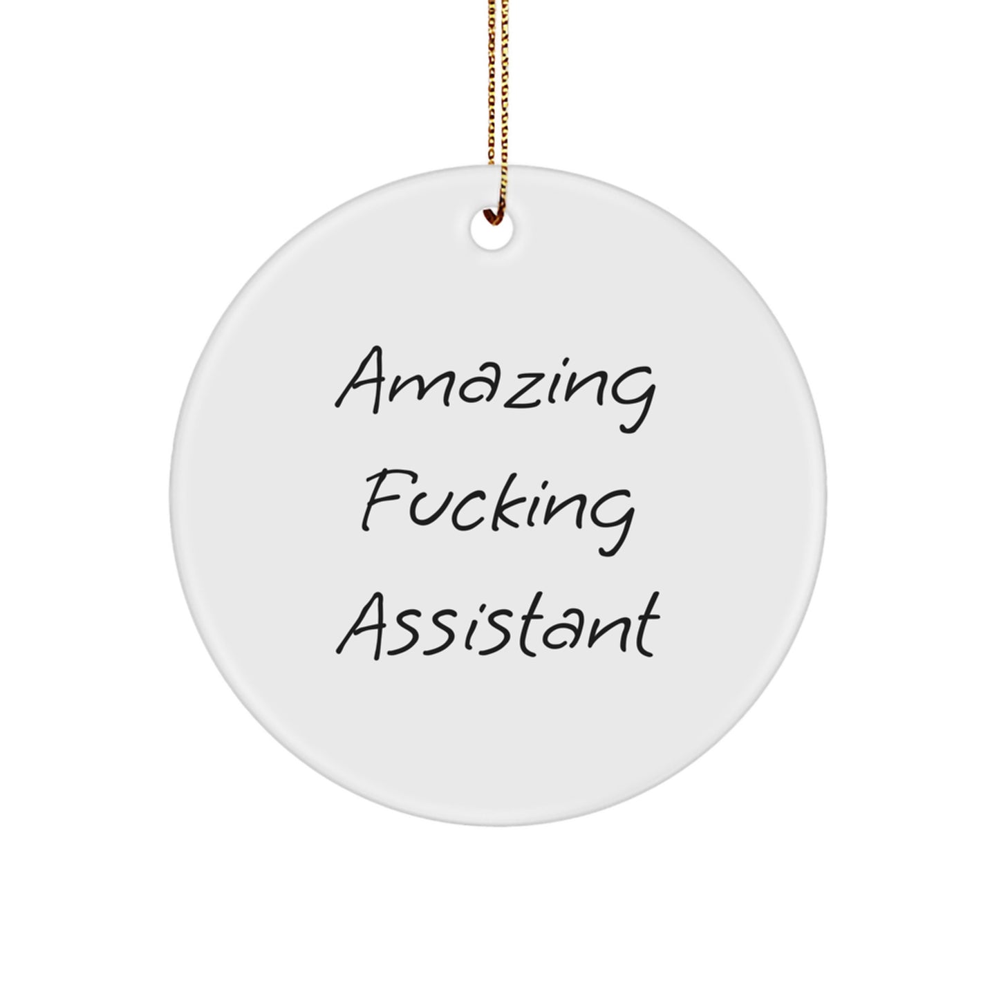 Funny Assistant Christmas Unique Gifts for Men Women Friends Circle Ornament, Gifts from Men Women Friends to Assistant at Work Home - Image 1