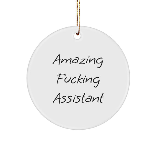 Funny Assistant Christmas Unique Gifts for Men Women Friends Circle Ornament, Gifts from Men Women Friends to Assistant at Work Home - Image 1