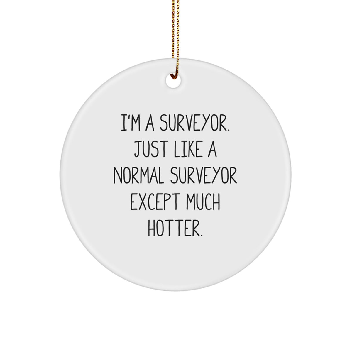 Christmas Gift for Her Surveyor Keepsake Ornament Present - Image 1