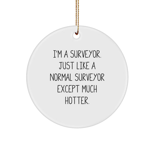 Christmas Gift for Her Surveyor Keepsake Ornament Present - Image 1