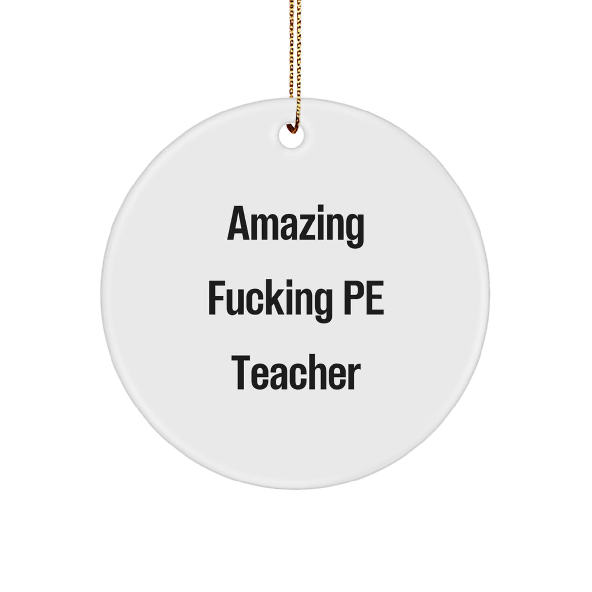 Funny PE Teacher Circle Ornament Gifts from Friends and Family for Christmas Unique - Image 1