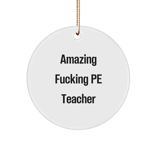 Funny PE Teacher Circle Ornament Gifts from Friends and Family for Christmas Unique - Image 1