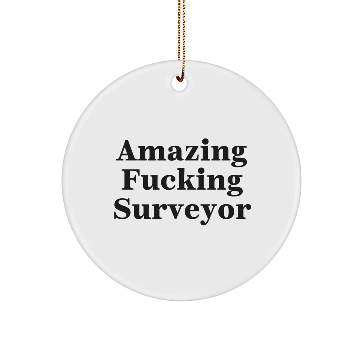 Funny Surveyor Gifts from Men - Amazing Surveyor Ornament, Circle Shaped Christmas Unique Gifts for Surveyor - Image 1