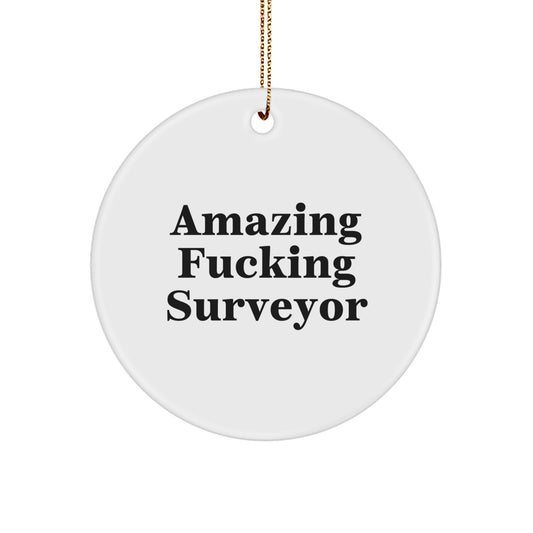 Funny Surveyor Gifts from Men - Amazing Surveyor Ornament, Circle Shaped Christmas Unique Gifts for Surveyor - Image 1