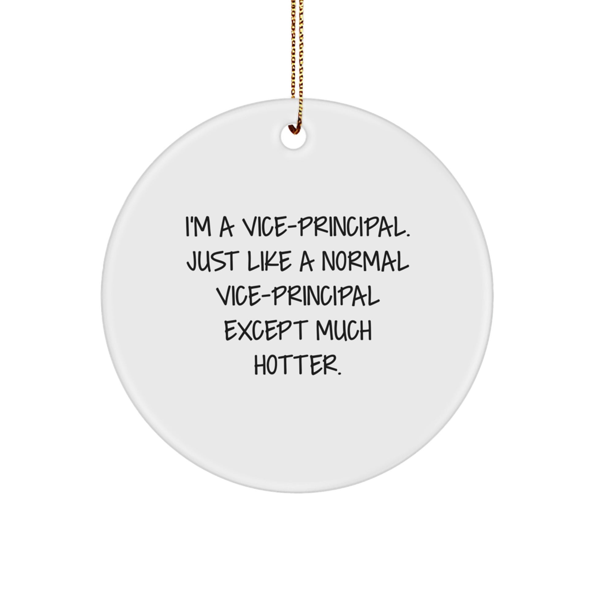 Funny Vice-principal Gifts from Friends Circle Ornament - I'm A Vice-principal. Just Like A Normal Vice-principal Except Much Hotter. Christmas Unique Gifts for Vice-principal - Image 1