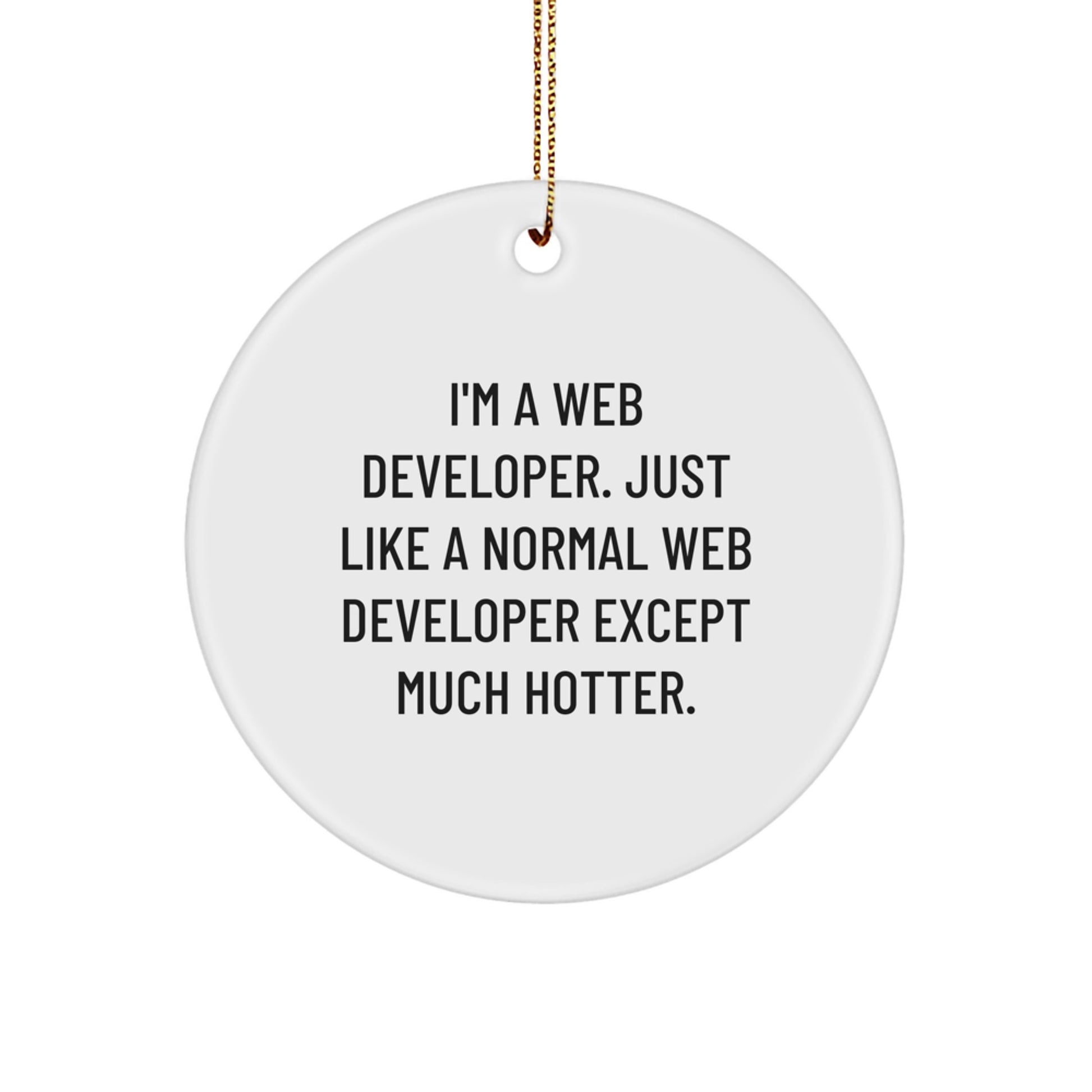 Funny Web Developer Gifts for Men, Unique Circle Ornament for Web Developer Friends, Christmas Unique Gifts from Friends - Image 1