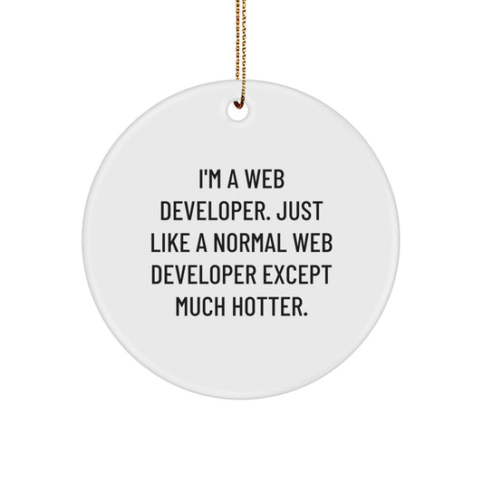Funny Web Developer Gifts for Men, Unique Circle Ornament for Web Developer Friends, Christmas Unique Gifts from Friends - Image 1