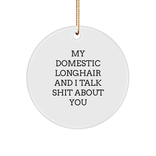 Funny Domestic Longhair Cat Circle Ornaments for Christmas Unique Gifts from Friends to Family - Image 1