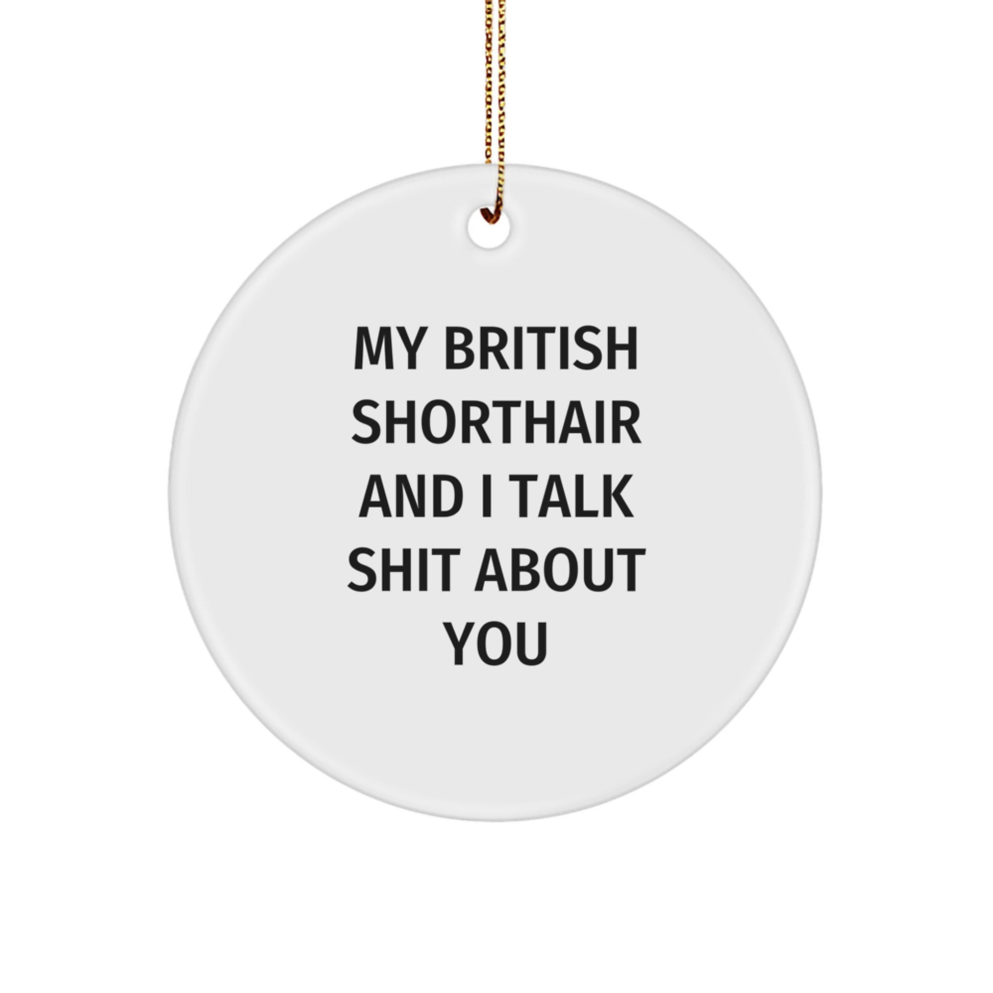 Funny British Shorthair Cat Gifts, British Shorthair Cat Lover Circle Ornament, Christmas Unique Gifts from Family to Friends, My British Shorthair And I Talk Shit About You - Image 1