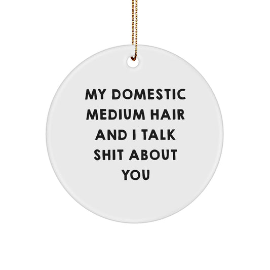 Funny Domestic Medium Hair Gifts from Friends for Christmas Circle Ornament with 'My Domestic Medium Hair And I Talk Shit About You' Quote, White, Circle Shaped - Image 1