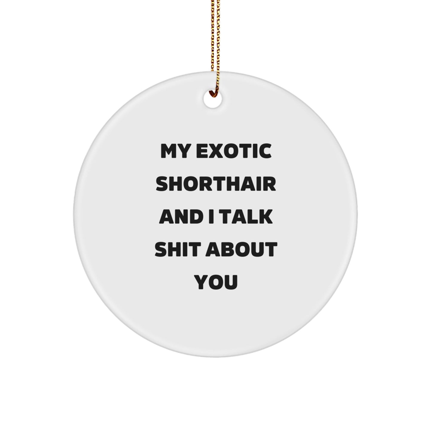 Funny Exotic Shorthair Cat Gifts for Exotic Shorthair Cat Lovers, My Exotic Shorthair And I Talk Shit About You, Circle Ornament for Christmas Unique Gifts from Family to Friends - Image 1