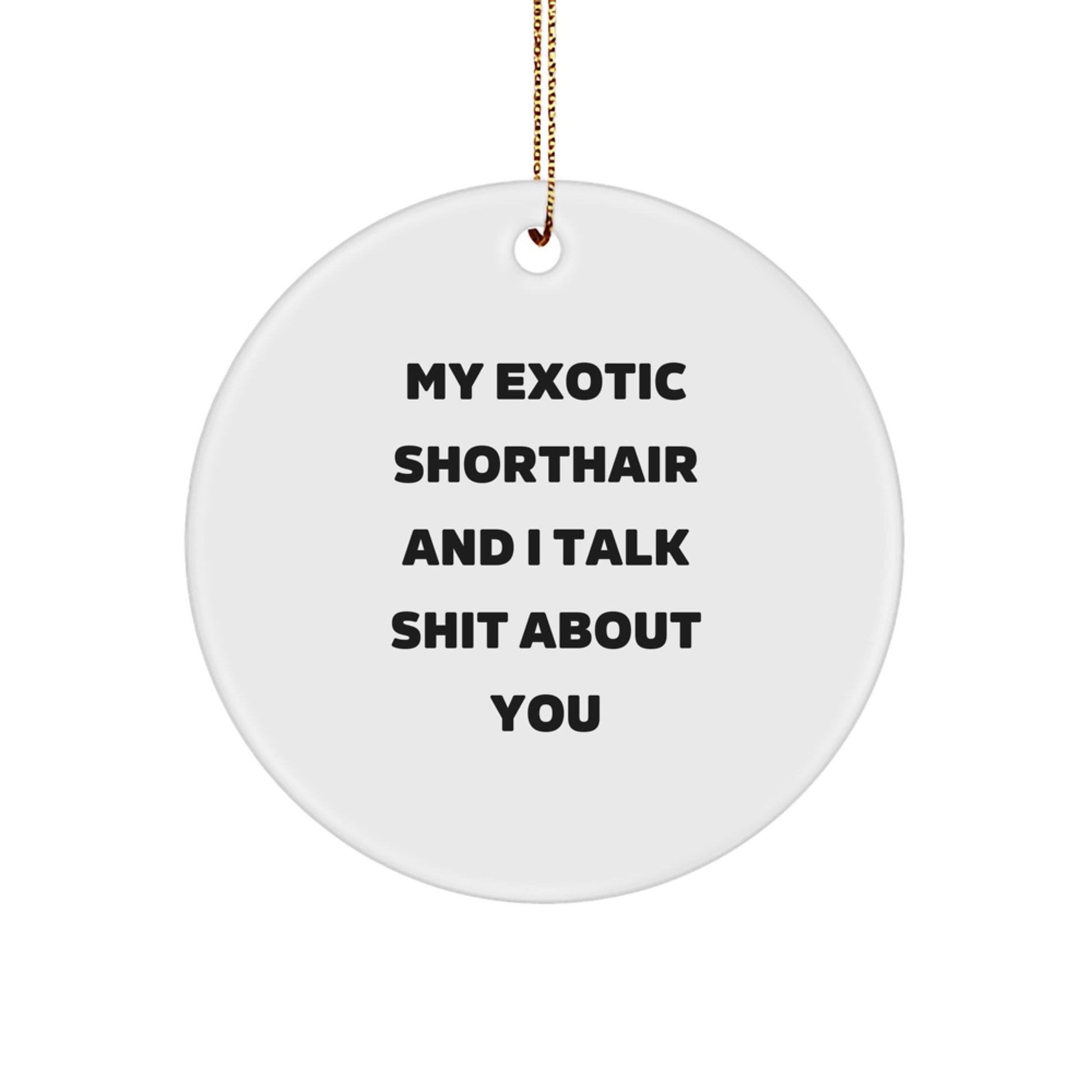 Funny Exotic Shorthair Cat Gifts for Exotic Shorthair Cat Lovers, My Exotic Shorthair And I Talk Shit About You, Circle Ornament for Christmas Unique Gifts from Family to Friends - Image 1