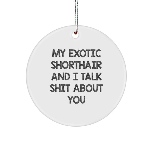 Funny Exotic Shorthair Cat Gifts from Family, Exotic Shorthair Cat Circle Ornament for Christmas Unique Gifts - Image 1