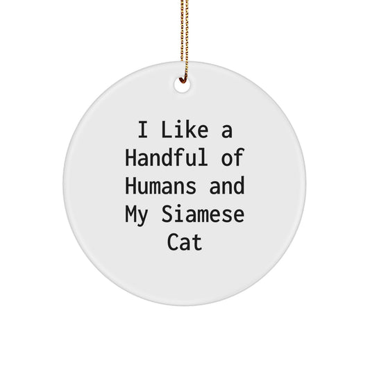 Siamese Cat Lover Gifts from Friends - Unique Circle Ornament for Family, Funny Quote, Christmas Decorations - Image 1