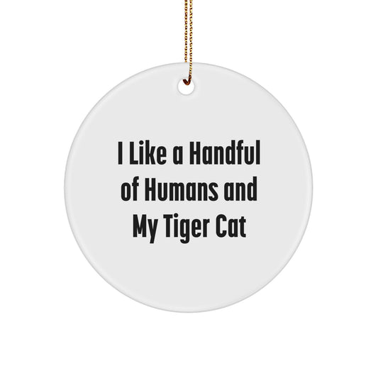 Funny Tiger Cat Gifts from Men to Family Members, Christmas Unique Circle Ornament for Home Decor, 'I Like A Handful Of Humans And My Tiger Cat' Quote - Image 1