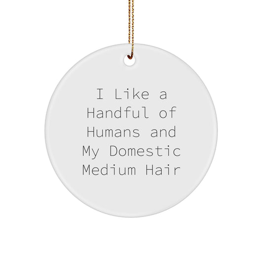 Funny Domestic Medium Hair Gifts for Men, Women, Friends, or Family - 'I Like A Handful Of Humans And My Domestic Medium Hair' Christmas Unique Circle Ornament - Image 1