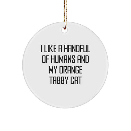 Funny Orange Tabby Cat Gifts from Friends for Orange Tabby Cat Lovers - Christmas Unique Circle Ornament with I Like A Handful Of Humans And My Orange Tabby Cat Quote - Image 1