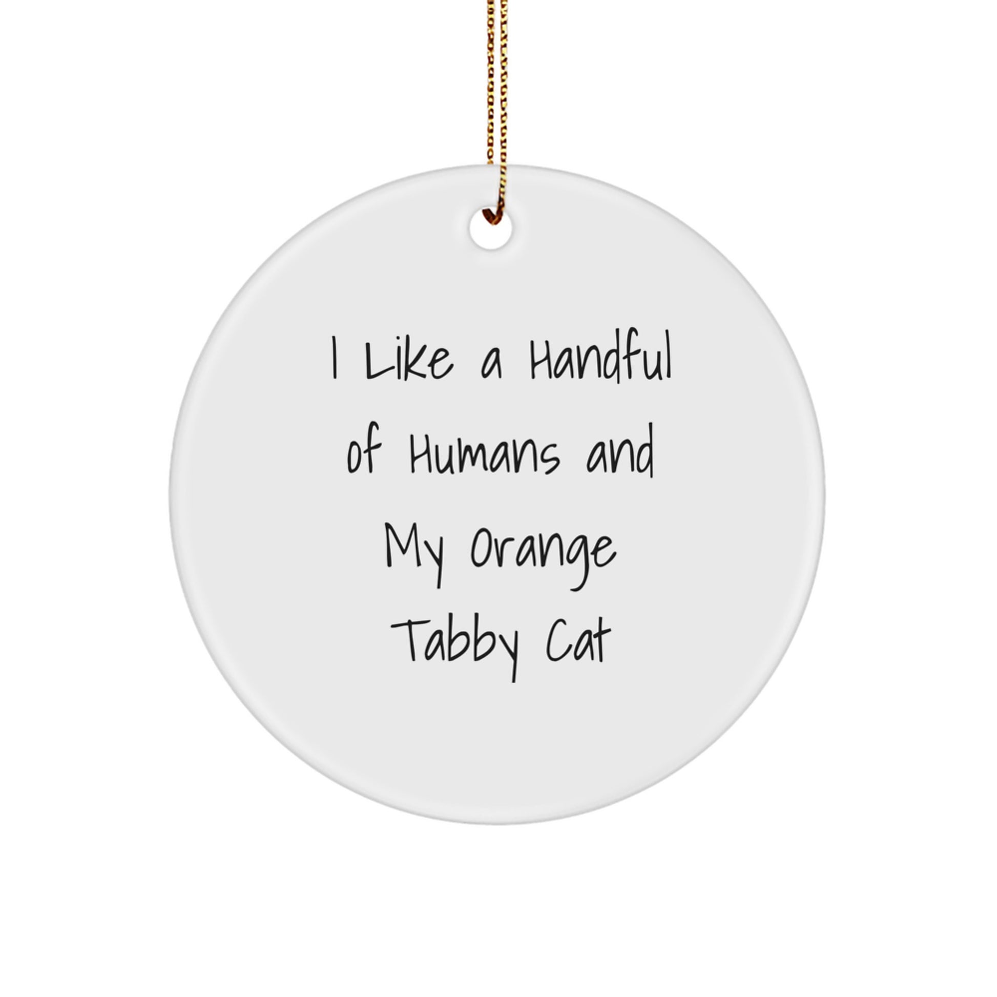 Funny Orange Tabby Cat Gifts for Men and Women, Orange Tabby Cat Circle Ornament for Christmas Unique Gifts from Family and Friends - Image 1