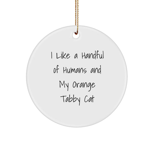 Funny Orange Tabby Cat Gifts for Men and Women, Orange Tabby Cat Circle Ornament for Christmas Unique Gifts from Family and Friends - Image 1