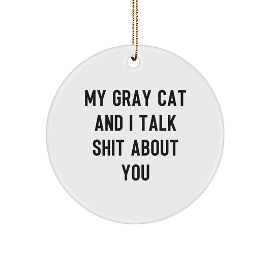 Funny Gray Cat Gifts for Men, Christmas Circle Ornament, My Gray Cat And I Talk Shit About You Quote Decoration, Gifts from Friends - Image 1