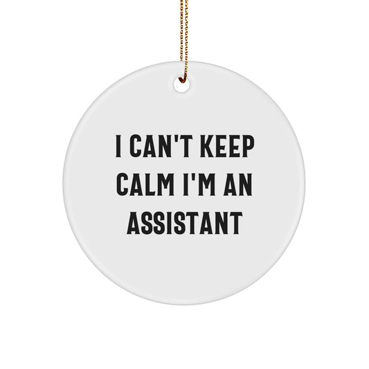 Funny I Can't Keep Calm I'm An Assistant Gifts from Friends for Assistant - Image 1