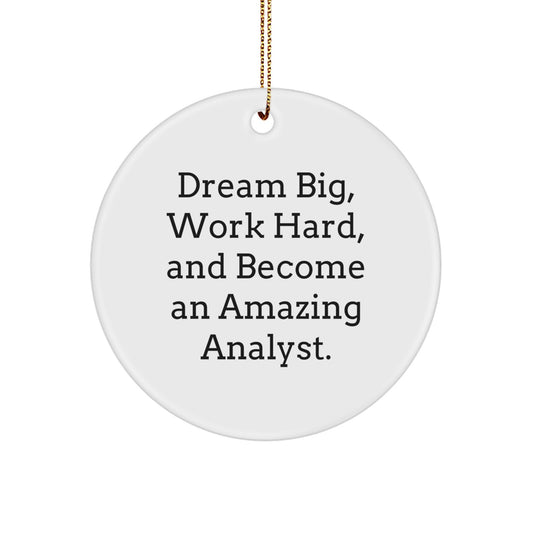 Inspirational Analyst Gifts from Family and Friends for Men and Women, 'Dream Big Work Hard' Christmas Unique Ornaments - Image 1