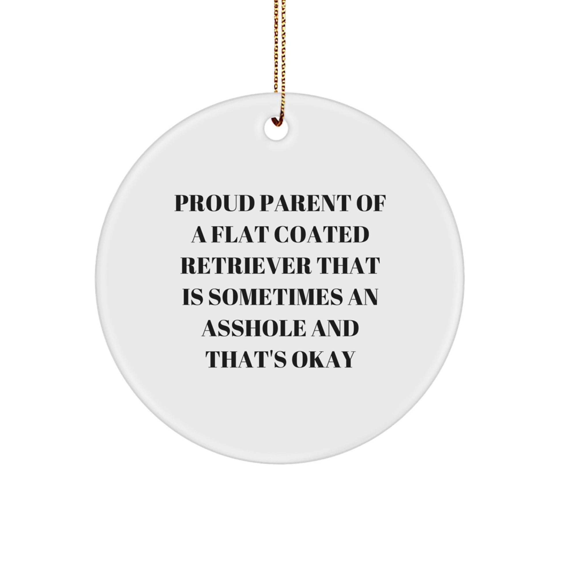 Funny Flat Coated Retriever Dog Lover Gifts, Circle Ornament for Christmas Unique Gifts from Men to Friends, Flat Coated Retriever Dog Enthusiast Gifts - Image 1