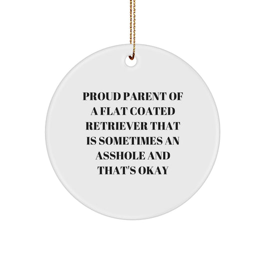 Funny Flat Coated Retriever Dog Lover Gifts, Circle Ornament for Christmas Unique Gifts from Men to Friends, Flat Coated Retriever Dog Enthusiast Gifts - Image 1