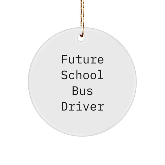 Funny Future School Bus Driver Gifts from Family - Unique Circle Ornament, Christmas Unique Gifts for School Bus Drivers, School Bus Driver Christmas Tree Decoration - Image 1